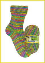 Lade das Bild in den Galerie-Viewer, opal holidays strumpf & pulloverwolle barfußpfad | 11242