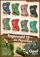 Lade das Bild in den Galerie-Viewer, regenwald 18- die expedition 4 fädig / strumpf &amp; pulloverwolle
