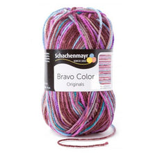 Lade das Bild in den Galerie-Viewer, Bravo Color 50 gr. Alle Farben - Knallerpreis - - wolle4you - Online Versand - Merinowolle - Sockenwolle - Baumwolle - Handarbeitsgarne aller Art