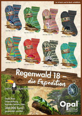 regenwald 18- die expedition 4 fädig / strumpf & pulloverwolle
